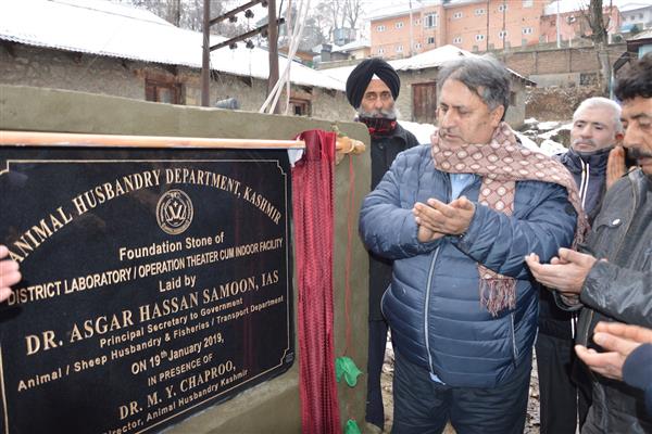 Livestock sector holds key to JK's economy: Dr Samoon | KNO