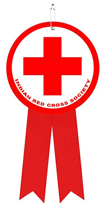 Danish Red Cross Logo Transparent PNG - 1250x468 - Free Download on NicePNG